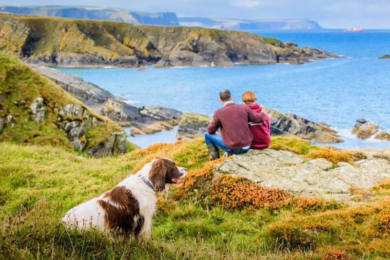 Best Dog Friendly Holiday In Uk