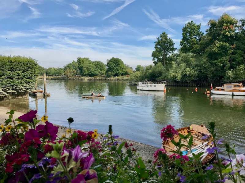 Dog Friendly Holidays London